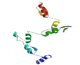 Zinc Finger Protein 630 (ZNF630)