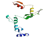 Zinc Finger Protein 670 (ZN<b>F670</b>)