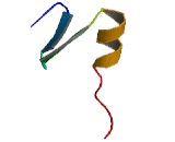 Zinc Finger Protein 701 (ZNF701)