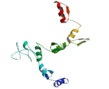 Zinc Finger Protein 732 (ZNF732)