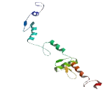 Zinc Finger Protein 780B (ZNF780B)