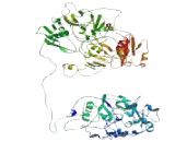 Zinc Finger Protein 831 (ZN<b>F831</b>)