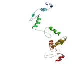 Zinc Finger Protein 878 (ZNF878)