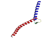 C-Myc Epitope (Myc)