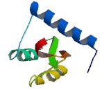 tRNA Methyltransferase 6 Homolog (TRMT6)