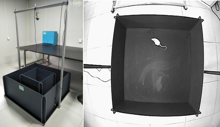 Field test - diarrhea model.