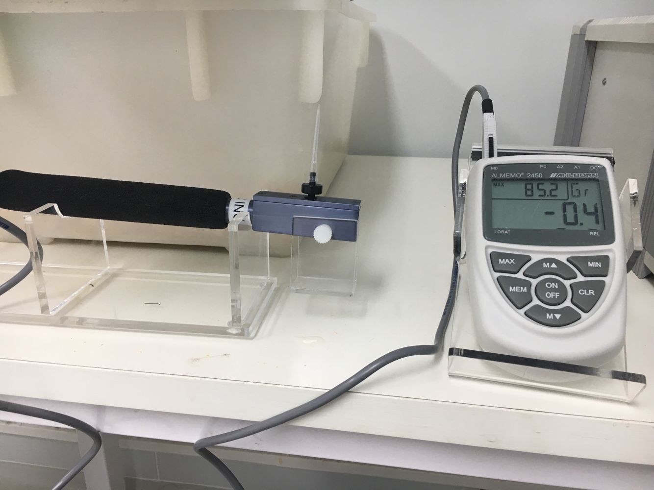 Mechanical allodynia test