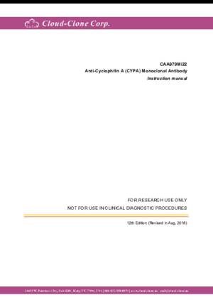 Anti-Cyclophilin-A-(CYPA)-Monoclonal-Antibody-CAA979Mi22.pdf