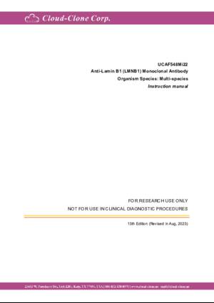 Anti-Lamin-B1-(LMNB1)-Monoclonal-Antibody-CAF548Mi22.pdf