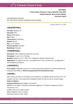 Primary-Mouse-Embryonic-Kidney-Epithelial-Cells-(EKE)-CSI234Mu01.pdf