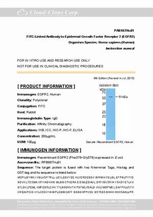 FITC-Linked-Antibody-to-Epidermal-Growth-Factor-Receptor-2--EGFR2--PAB867Hu81.pdf