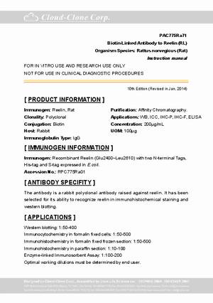 Biotin-Linked-Antibody-to-Reelin--RL--PAC775Ra71.pdf