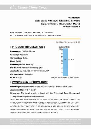 Biotin-Linked-Antibody-to-Tubulin-Beta-6--TUBb6--PAE712Mu71.pdf