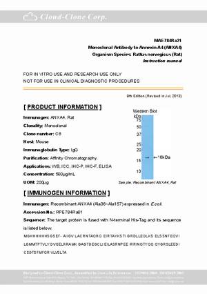 Monoclonal-Antibody-to-Annexin-A4--ANXA4--MAE784Ra21.pdf