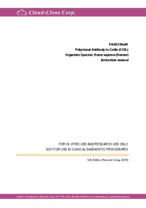 Polyclonal-Antibody-to-Coilin-(COIL)-PAA513Hu01.pdf