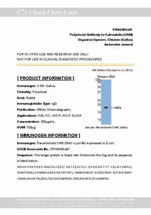 Antibody-to-Calmodulin--CAM--A90640Ga01.pdf