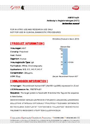 Antibody-to-Angiotensinogen--AGT--A90797Hu01.pdf