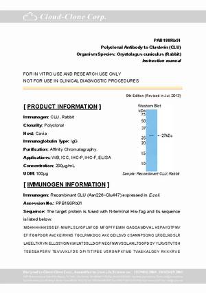 Antibody-to-Clusterin--CLU--A91180Rb01.pdf