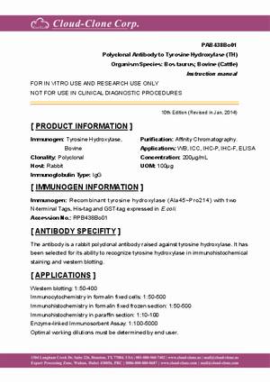 Polyclonal-Antibody-to-Tyrosine-Hydroxylase--TH--PAB438Bo01.pdf