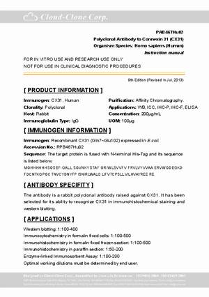 Antibody-to-Connexin-31--CX31--A91467Hu02.pdf