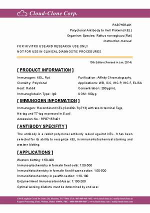 Polyclonal-Antibody-to-Kell-Protein--KEL--PAB715Ra01.pdf