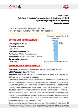 Polyclonal-Antibody-to-Transglutaminase-1--Keratinocyte--TGM1--pA91773Rb51.pdf