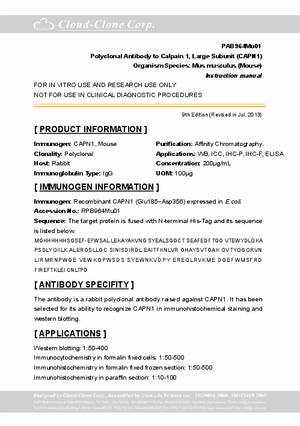 Antibody-to-Calpain-1--Large-Subunit--CAPN1--A91964Mu01.pdf