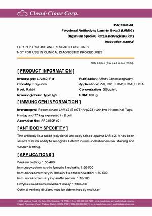 Polyclonal-Antibody-to-Laminin-Beta-2--LAMb2--PAC080Ra01.pdf