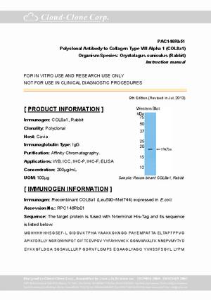 Polyclonal-Antibody-to-Collagen-Type-VIII-Alpha-1--COL8a1--PAC146Rb51.pdf