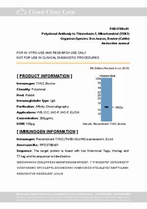 Polyclonal-Antibody-to-Thioredoxin-2--Mitochondrial--TXN2--PAD378Bo01.pdf