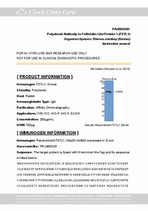 Antibody-to-Follistatin-Like-Protein-1--FSTL1--A98085Si01.pdf