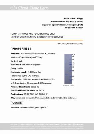 Caspase-3--CASP3--P90626Ra02.pdf