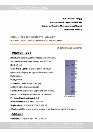 Ribophorin-I--RPN1--rP92769Mu01.pdf