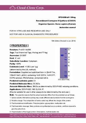 Recombinant-Coenzyme-A-Synthase-(COASY)-RPD668Hu01.pdf