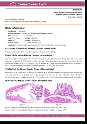Mouse-Tissue-of-Normal-Adult-TSI501Mu61.pdf