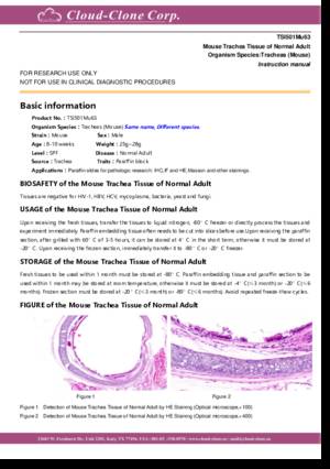 Mouse-Tissue-of-Normal-Adult-TSI501Mu63.pdf