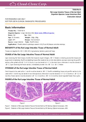 Rat-Small-Intestine-Tissue-of-Normal-Adult-TSI501Ra17.pdf