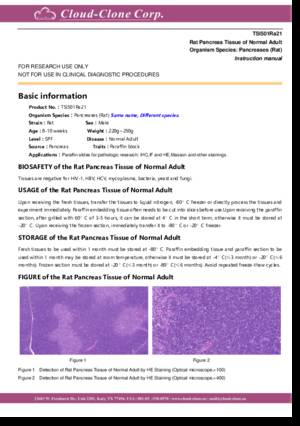 Rat-Pancreas-Tissue-of-Normal-Adult-TSI501Ra21.pdf