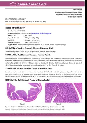 Rat-Stomach-Tissue-of-Normal-Adult-TSI501Ra39.pdf