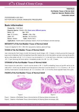 Rat-Bladder-Tissue-of-Normal-Adult-TSI501Ra43.pdf