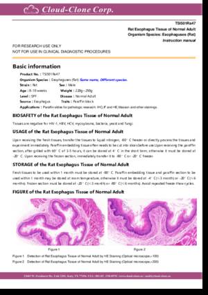 Rat-Esophagus-Tissue-of-Normal-Adult-TSI501Ra47.pdf