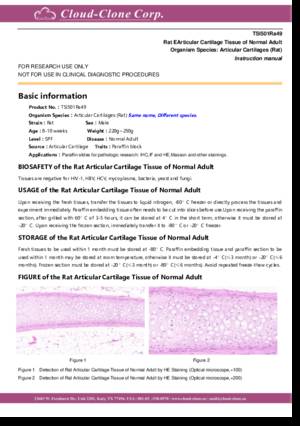 Rat-Articular-Cartilage-Tissue-of-Normal-Adult-TSI501Ra49.pdf