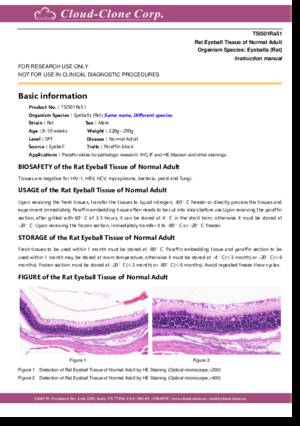 Rat-Eyeball-Tissue-of-Normal-Adult-TSI501Ra51.pdf