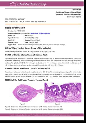 Rat-Tissue-of-Normal-Adult-TSI501Ra61.pdf