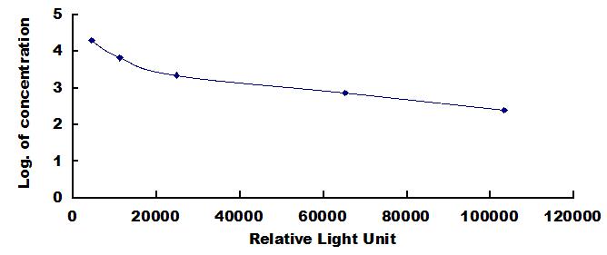 CCA185Ge.jpg