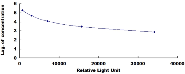 CCA455Ge.jpg