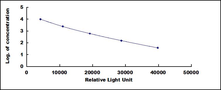 CLIA Kit for Phosphocreatine (PCr)