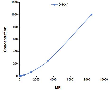 CMA295Ra.jpg