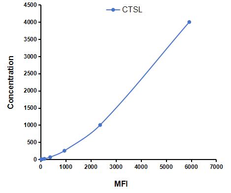 CMA306Hu.jpg