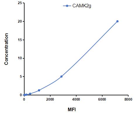 Multiplex Assay Kit for Calcium/Calmodulin Dependent Protein Kinase II Gamma (CAMK2g) ,etc. by CBA (Cytometric Bead Array)